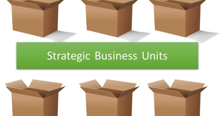 Unidades estratégicas de negocio