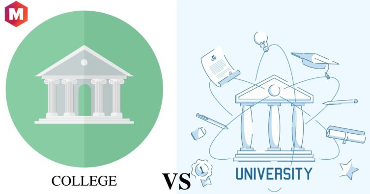 Diferencias entre colegio y universidad, tipos, pros y contras