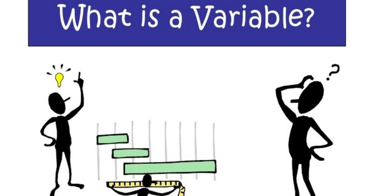 2 tipos principales de variables utilizadas en las estrategias
